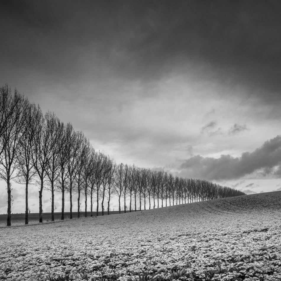 The Somme, France